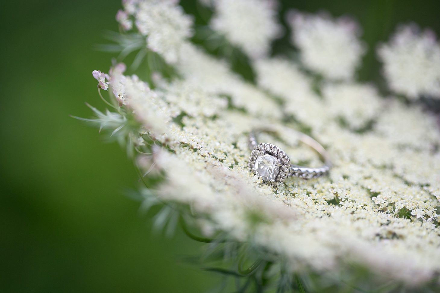 Chicago-forest-preserve-engagement_0011