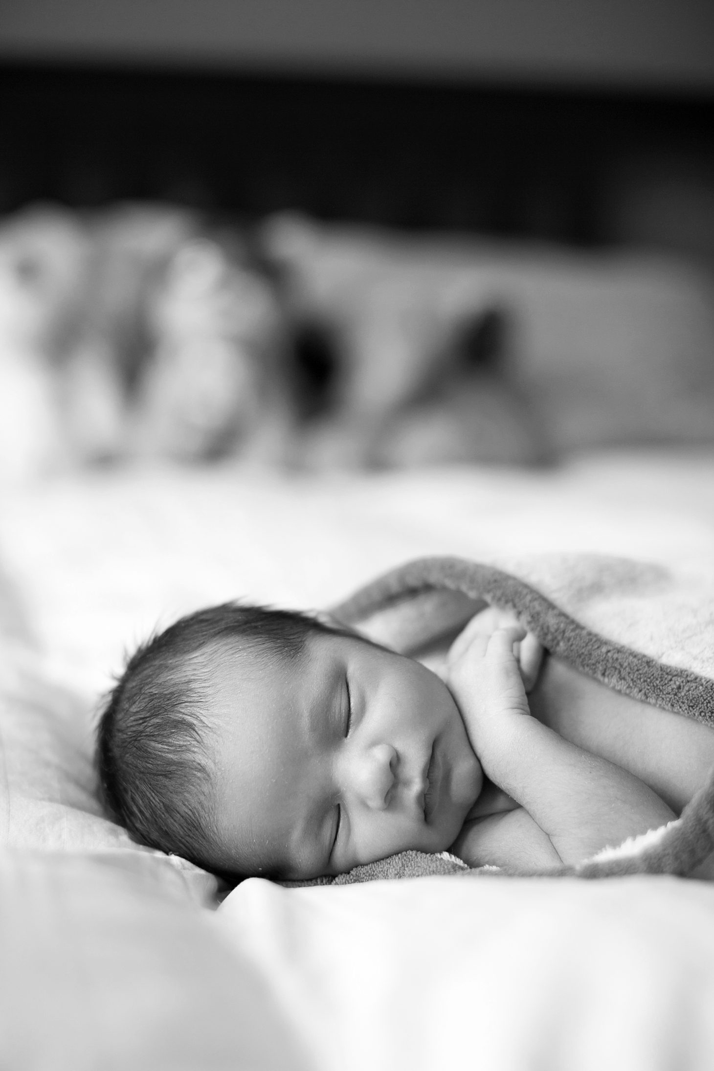 chicago-newborn-photography_0007