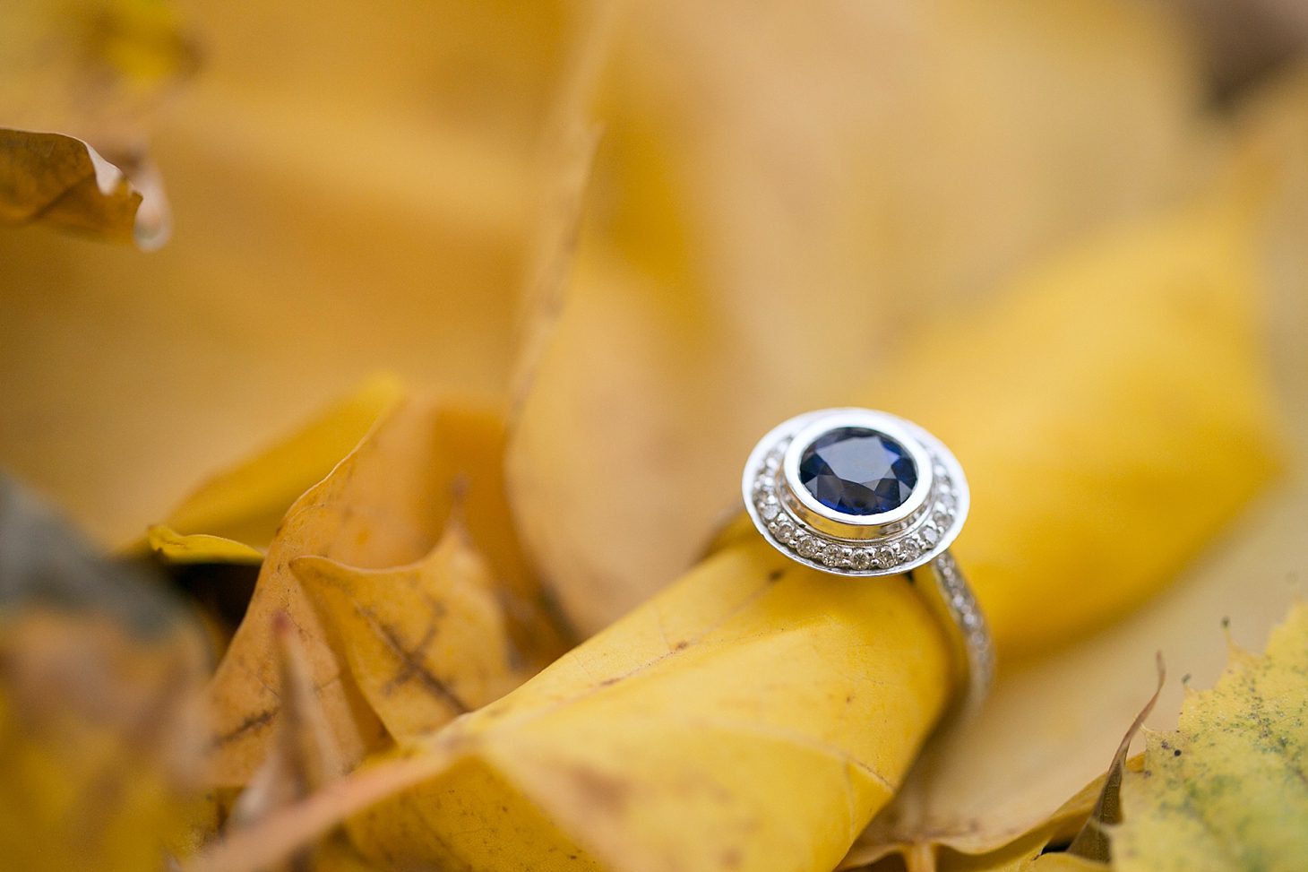 gompers-park-fall-engagement-chicago_0008
