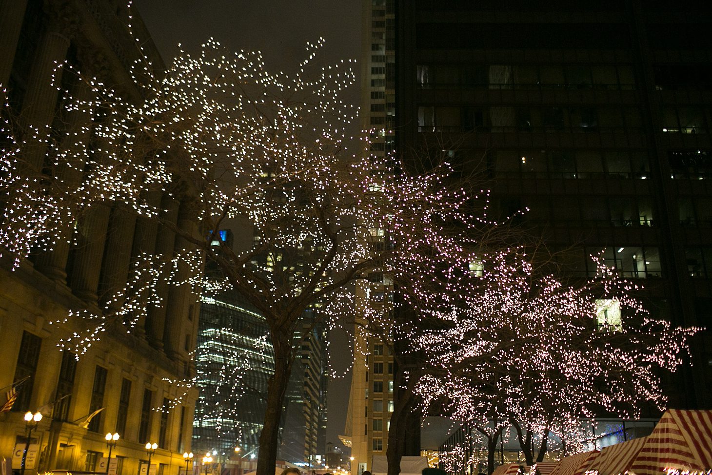 chicago-christmas-photos-lights_0008