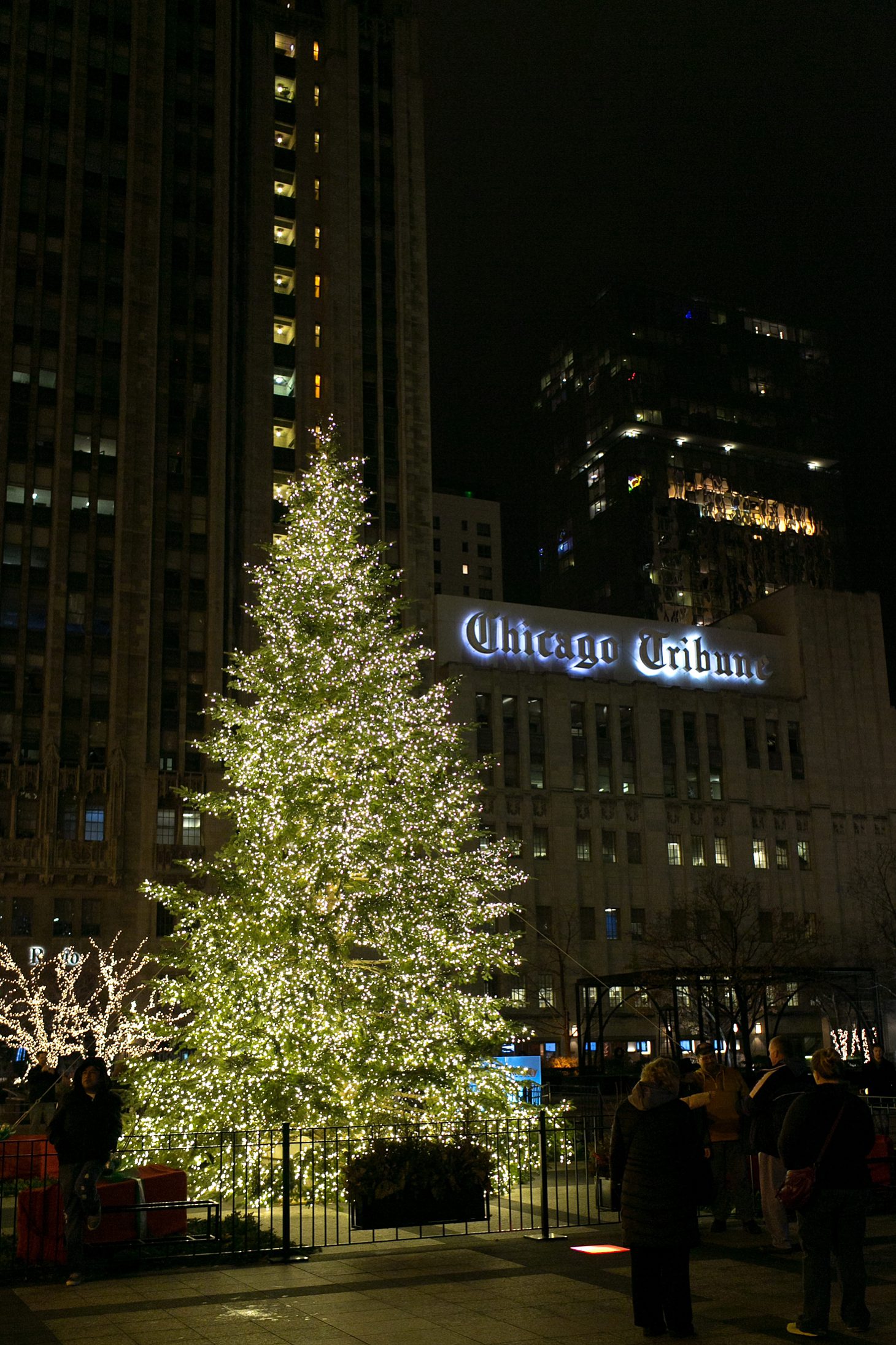 chicago-christmas-photos-lights_0011