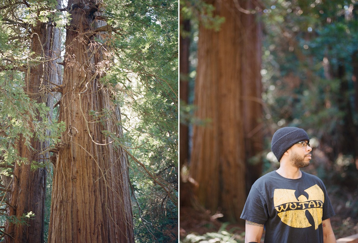 muir-woods-california-film-photography_0002