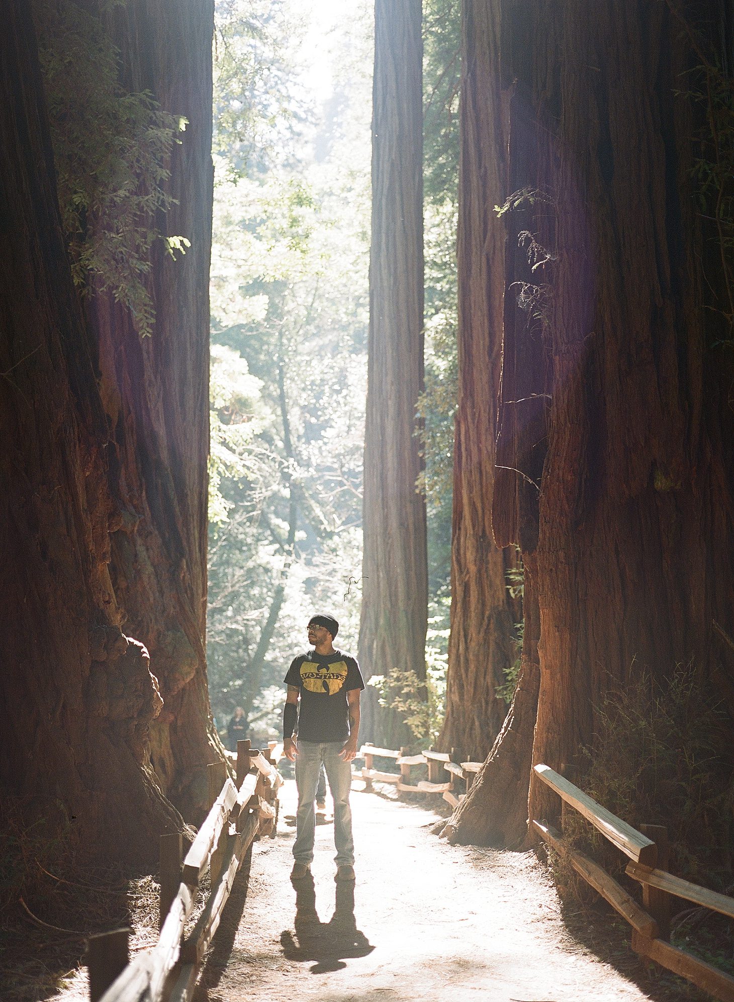 muir-woods-california-film-photography_0005