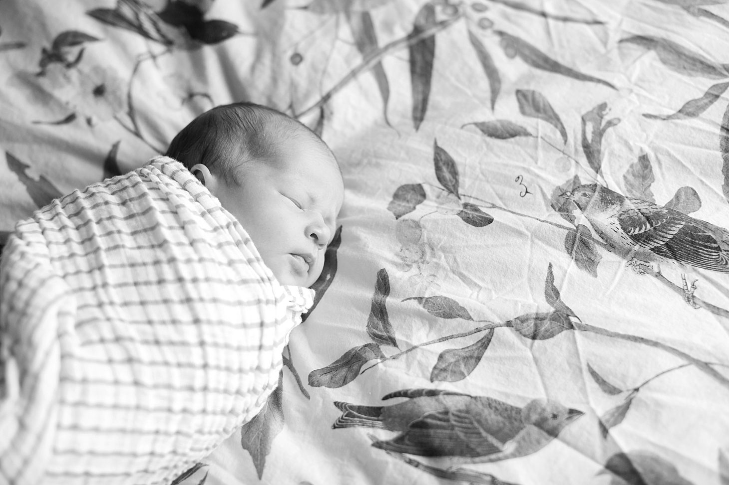 at-home-chicago-newborn-photographer_0001