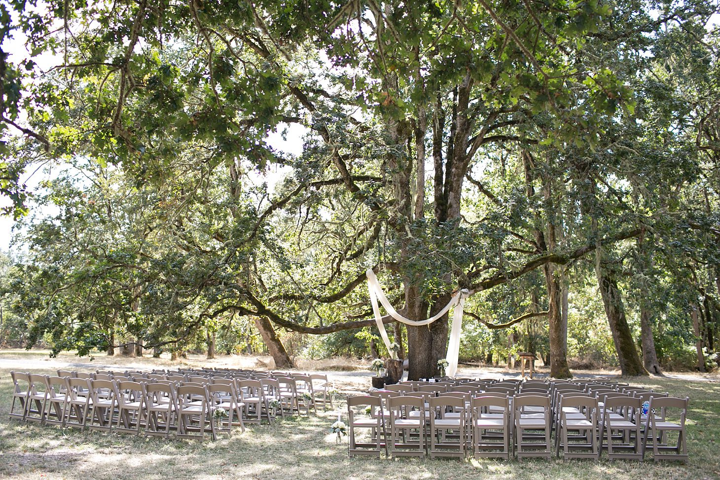 Mt. Pisgah Arboretum Wedding by Christy Tyler Photography_0050