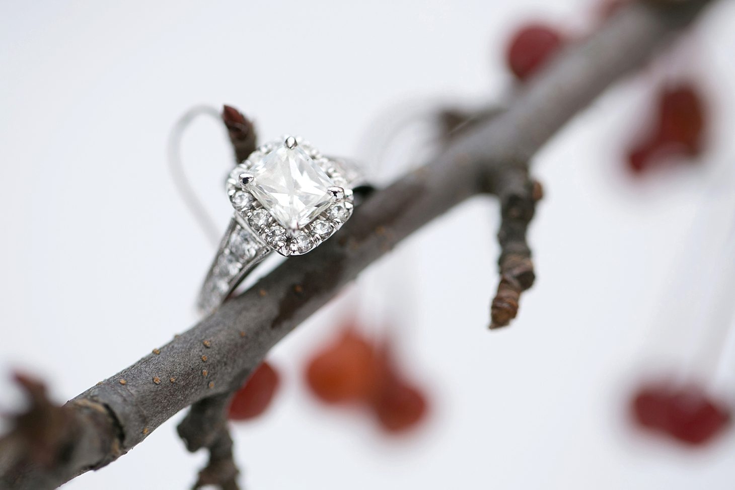 Snowy Chicago Engagement at Olive Park by Christy Tyler Photography_0019