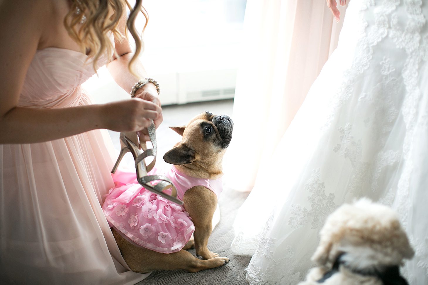 Chicago Wedding Photos by Christy Tyler Photography_0004