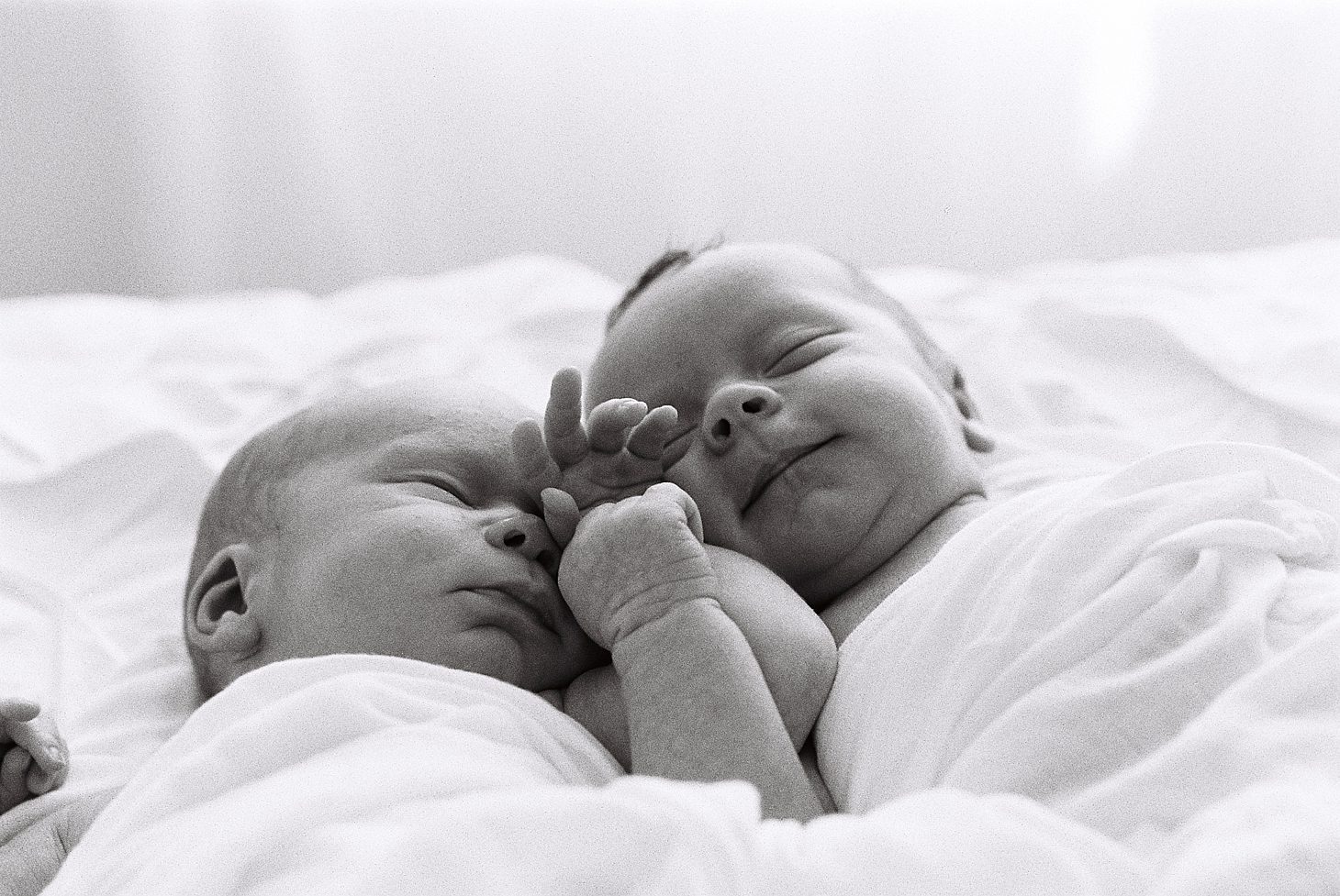Chicago Twin Newborn Photography by Simply by Suzy_0008
