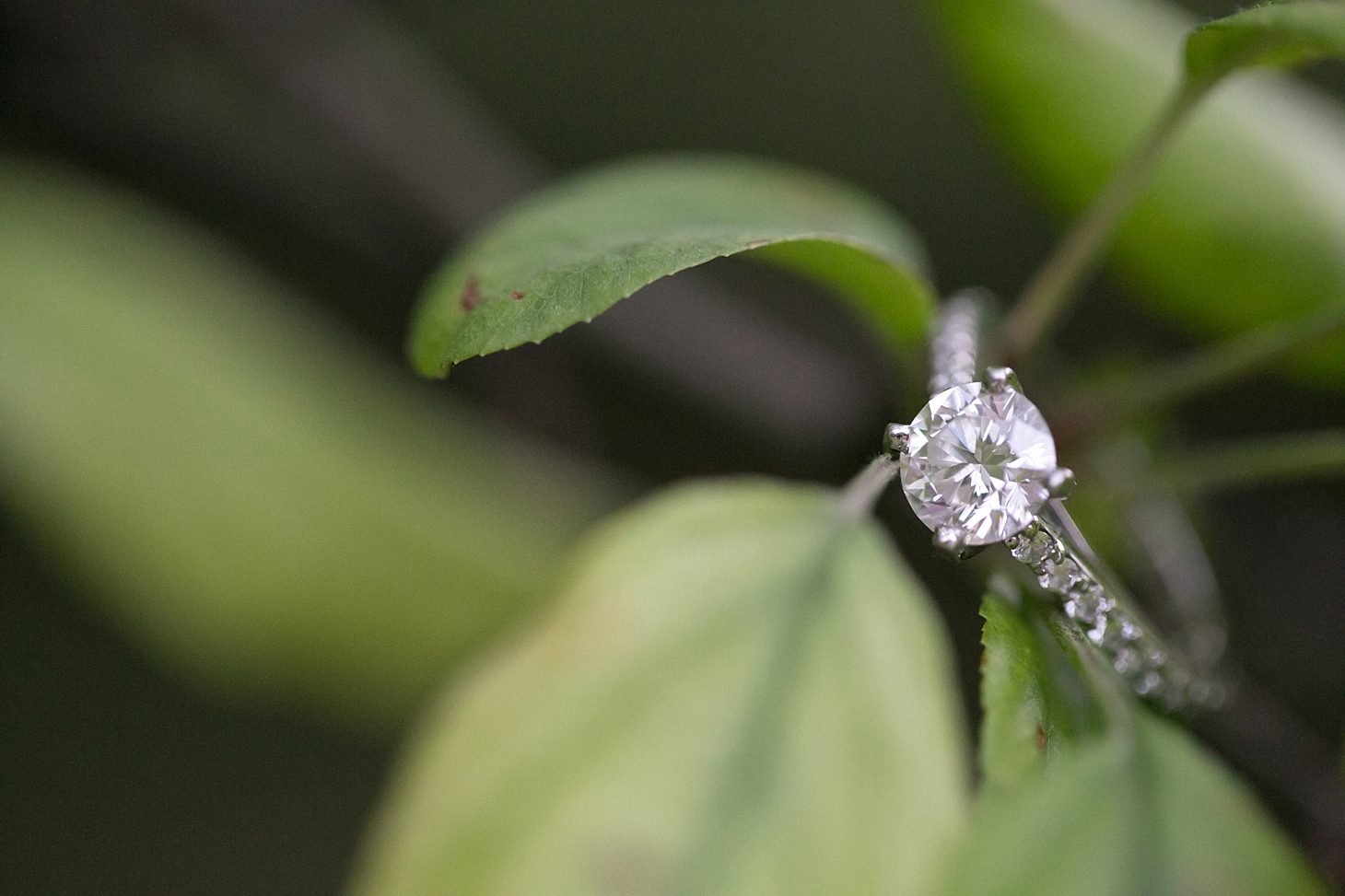 lurie-garden-engagement-by-christy-tyler-photography_0058