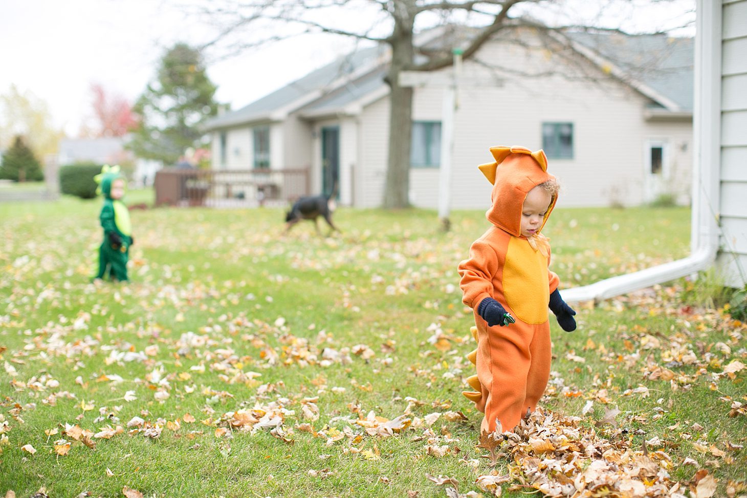 Twin homemade halloween costumes by Christy Tyler Photography_0005