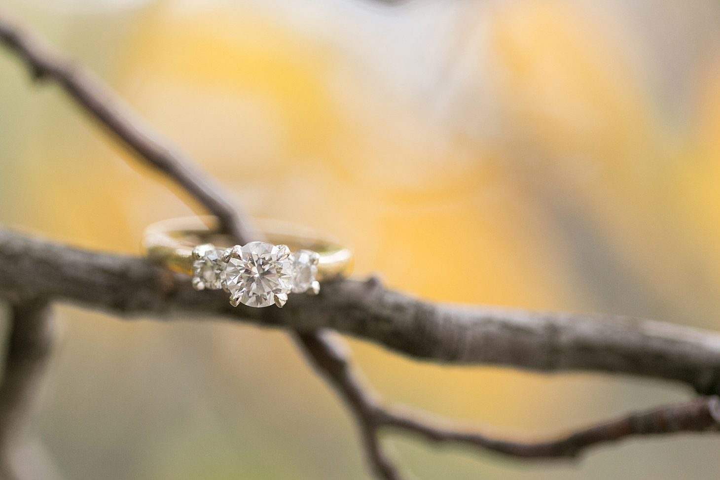Olive Park engagement by Christy Tyler Photography_0009-1