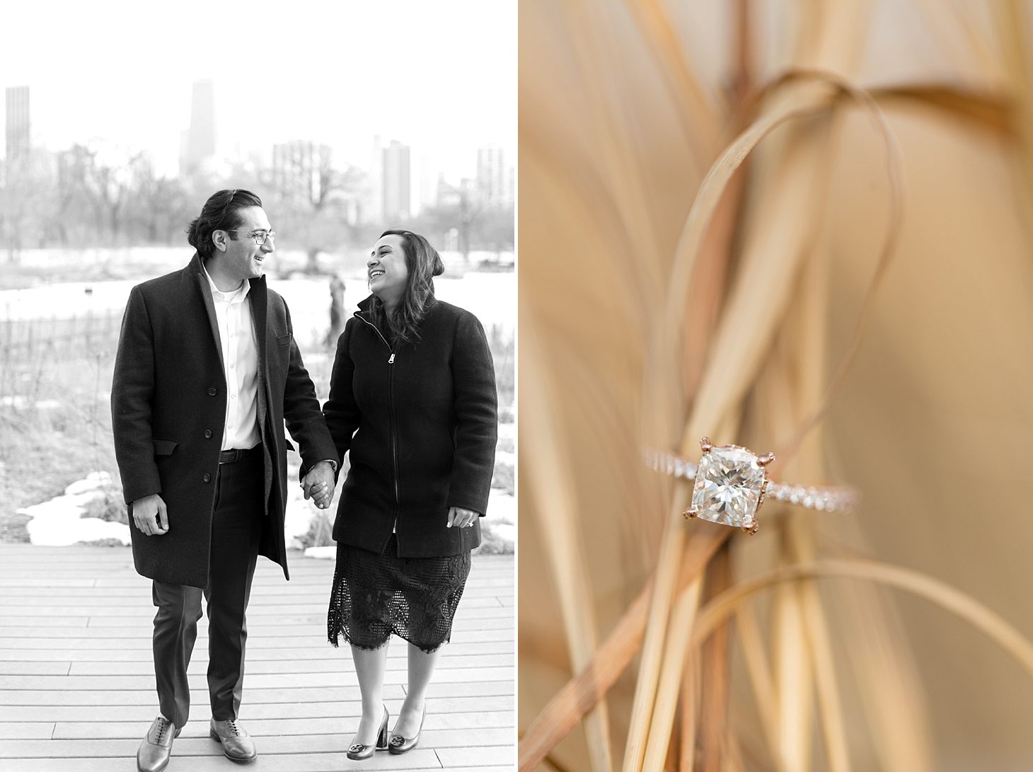 Chicago Proposal Photographer_0016-1