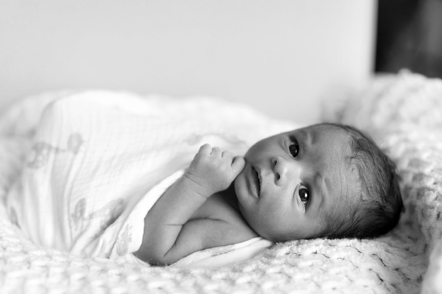 At Home Chicago Newborn Session_0001