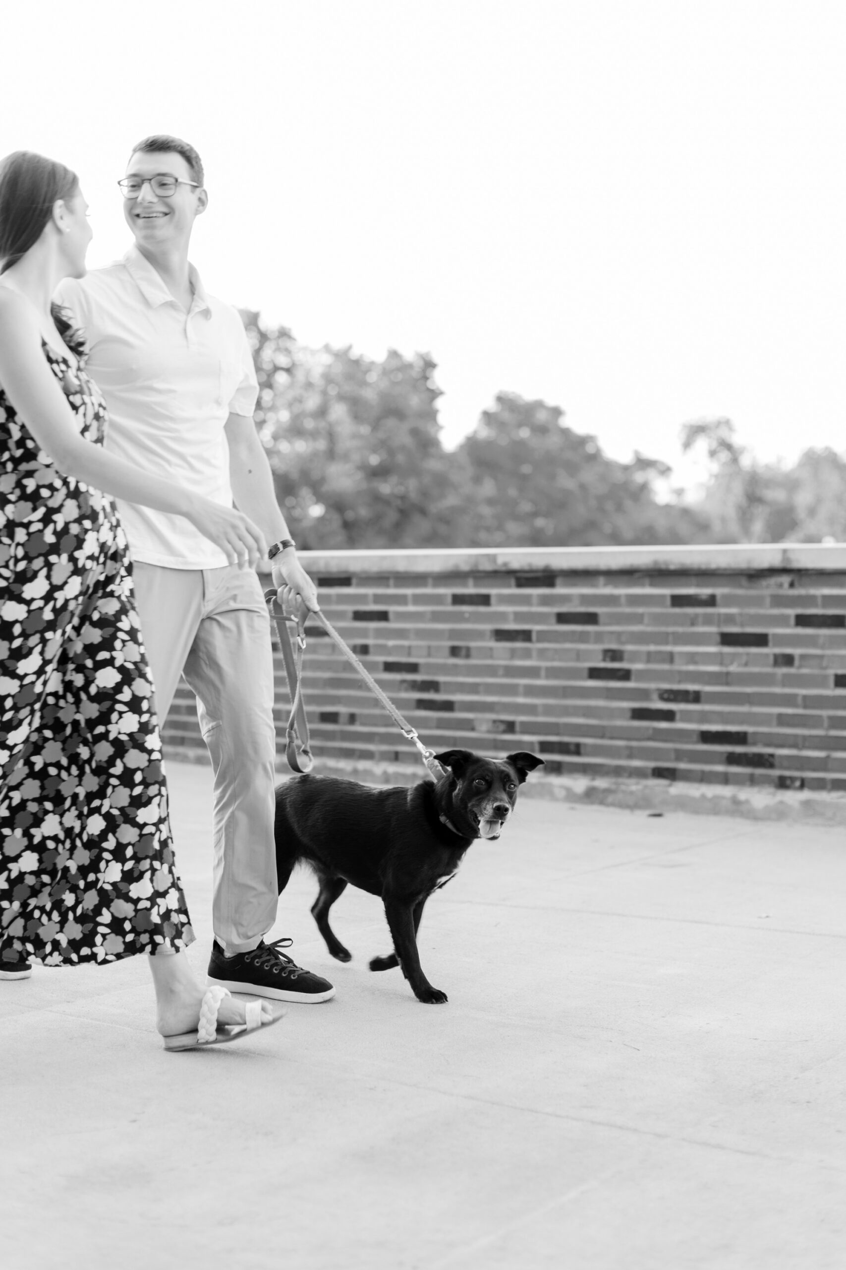 couple walks with their dog in a Chicago park