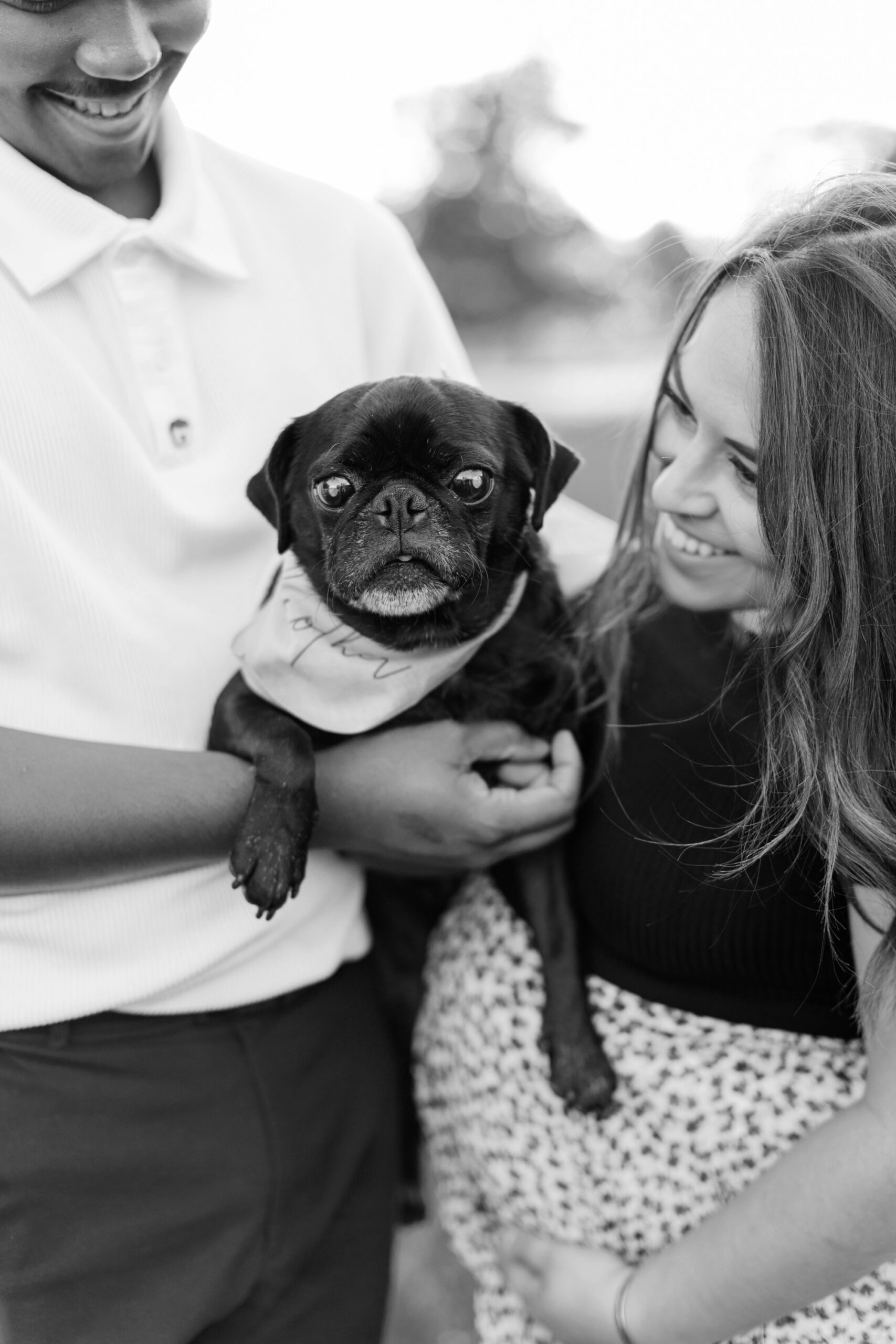 couple brought dog to maternity photoshoot