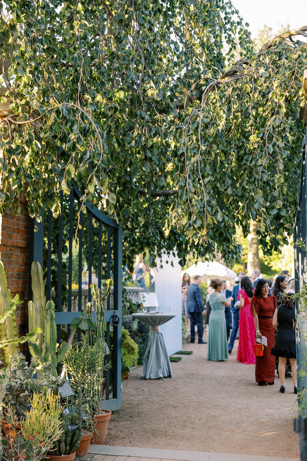 Chicago Botanic Garden cocktail hour before wedding reception